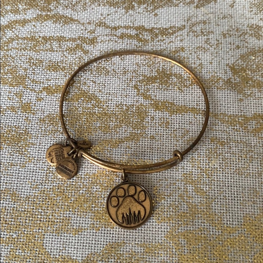 Alex and Ani Charm Bangle - Charity by Design